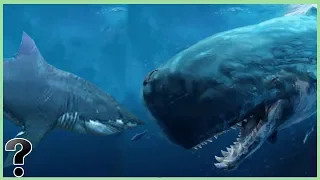 What If A Megalodon Shark Fought The Livyatan?
