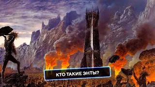 КТО такие ЭНТЫ???