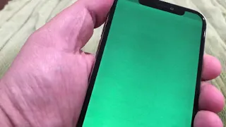 iPhone x water damage and green screen