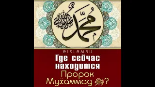 Где сейчас находится Пророк Мухаммад ﷺ?