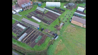 Winter vegetables in January, Charles Dowding's no dig gardens in years 1 and 10