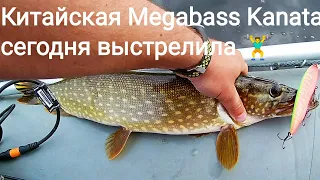 Клевое утро и море поклевок!Китайская Megabass Kanata и щука 1655 и не только!Strike Pro B-Match Jet