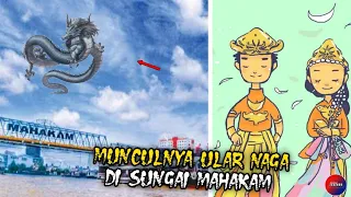 Bikin merinding!!inilah misteri naga ular raksasa sang penghuni sungai mahakam