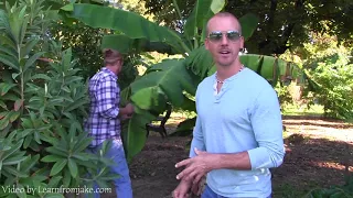 Insane FOOD FOREST and GARDEN TOUR in the DESERT!