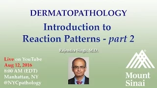 Dermatopathology: Introduction to Reaction Patterns - Part 2 w/ Dr. Singh