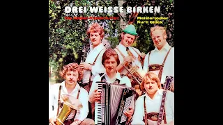 Die Fidelen Klagenfurter & Meisterjodler Kurti Glück - Drei weisse Birken (Full Record)