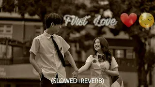 Frist Love Lofi Mashup |mind relax( Slowed + Reverb ) | Chill Mashup Lofi | Feel Lofi Mashup #lofi