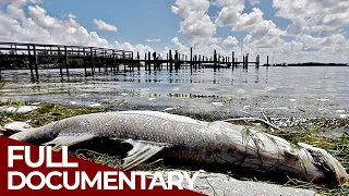 Deadly Waters | Return of the Plagues | Free Documentary History