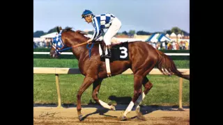 Secretariat:The Horse that Forever Changed History