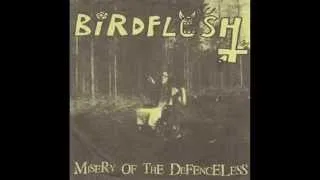 Birdflesh / Carcass Grinder - split 7" FULL EP (1999 - Grindcore)