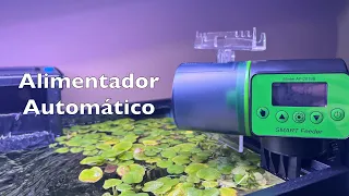 Alimentador automático para peces