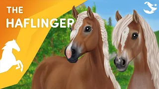 The UPDATED Haflinger!😍🤩 | Star Stable Horses