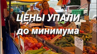 НИЗКИЕ ЦЕНЫ на продуктовой ярмарке в Киеве. Завалено помидорами, огурцами, картофелем, арбузами.