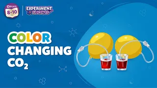 Color Changing CO2 | Science Experiments at Home | Experiment Shorts | Byju's