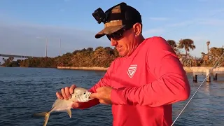 JACK CREVALLE - {Catch Clean Cook}