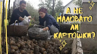 🥔Кто не работает, тот ЕСТ🍑🥔перебрали картошку🥔убираем урожай у родителей в деревнеотдых в деревне