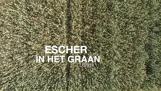 Ode aan M.C. Escher op 't Bildt, Escher in het graan / Eschers crop circles