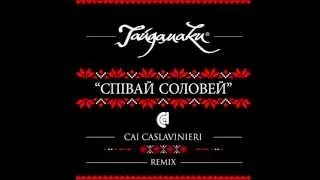 ГАЙДАМАКИ ft.Cai Caslavinieri - Співай Соловей/HAYDAMAKY ft.Cai Caslavinieri-Spivay Solovei | Audio