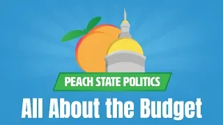 How Does a State Budget Work? | Peach State Politics