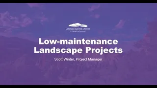 Low Maintenance Landscape Projects