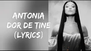 Antonia-Dor de tine(Lyrics)