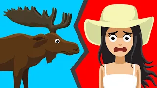 What to Do When a Moose Charges You