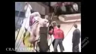 ☢  Подборка Лучшие Приколы И Неудачи 2015 BETS FAIL COMPILATION 2015 #92