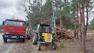 🚜🚜 Ursus C360 tuning na HDS i rozładunek 10 ton drewna sosny 🌲🪵🪵