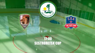 SESTRORETSK CUP • ХК Лицей 369 - ХК СКА Петергоф (05.05.2024)