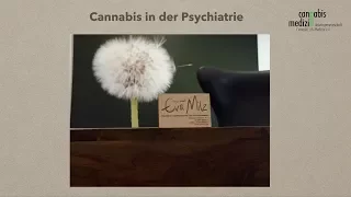Cannabis in der Psychiatrie (Schwerpunkt: ADHS) - Dr. med. Eva Milz