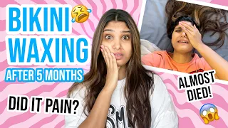 Bikini Waxing experience after 5 months | I am dead 🫣| worth the pain ?