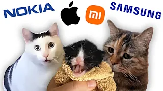 Meme Cats but famous phone ringtones