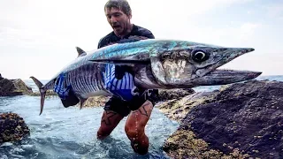 Rock Fishing on Steroids! Monster fish solo