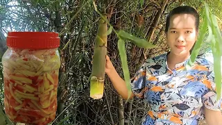 Raining season, the bamboo shoots grow many, so I cut it to make pickle, bamboo shoots pickle.