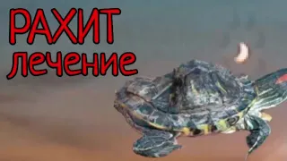 КАК ЛЕЧИТЬ РАХИТ У КРАСНОУХИХ ЧЕРЕПАХ!!!