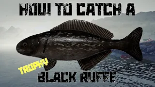 Russian Fishing 4 - Norwegian Sea - How to catch a Black Ruffe Trophy!