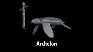 Archelon desde 0 en cinema 4d, PARTE 1