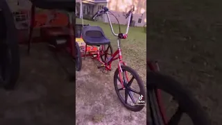 Trike bike an trailer gang