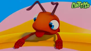 Box of Delights | Antiks 🐜 | Funny Cartoons for Kids