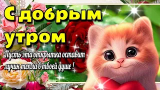 🥀🌞Самого доброго  утра!🌞Благословенного дня!🌼Чудесного настроения🌞Красивое музыкальное пожелани