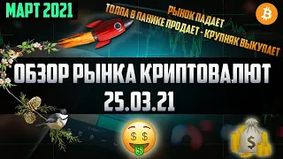 Обзор рынка криптовалют 25.03.21. Март 2021. Долгожданный пролив рынка! Хомяки в панике.