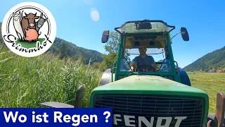 FarmVLOG#176 - Wo ist der Regen und das Schwitzen geht weiter !