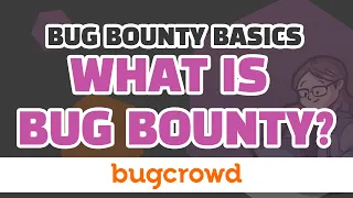 How does Bug Bounty work anyway?