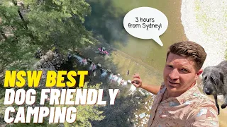 NSW Best DOG FRIENDLY camping exposed - Perfect swimming just 3 hours from Sydney - The Bridle Track