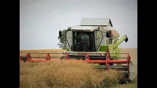 Żniwa Rzepakowe 2018! Claas Mega 360 | Fendt 826