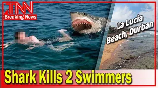 Great white shark kills two swimmers at La Lucia beach in Durban, South Africa | TNN