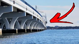 SO MANY SHEEPSHEAD On This Bridge, We Couldn't Keep Our Bait On! | Sheepshead Catch and Grill