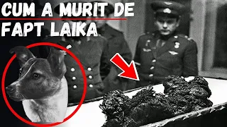 Cum a Murit Laika - Adevarul spus abia in 2002