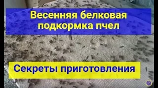 Матковод Кагарлик. Секрет приготування, Білкова підгодівля бджіл весною. Матки Кагарлика