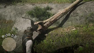 Red Dead Redemption 2: It's just a prank, mister!